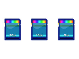 Schede di memoria SD per le macchine fotografiche 1038 0 schede SD